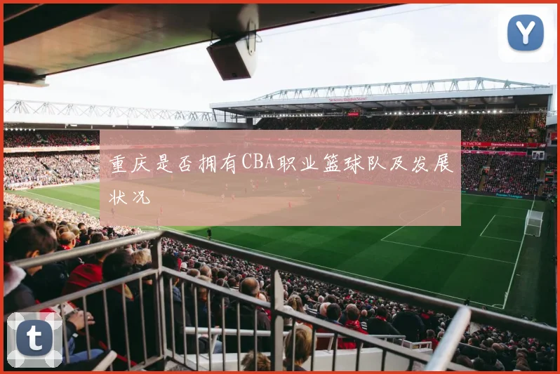 重庆是否拥有CBA职业篮球队及发展状况